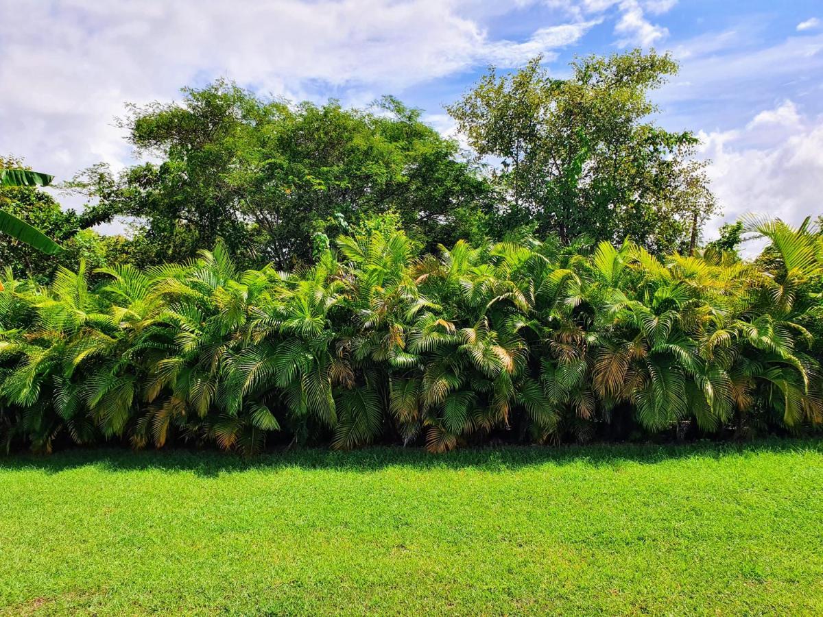 Villa Ohana Sainte-Anne  Exterior photo